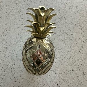 Pineapple wall flower plug
